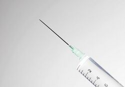 试管代怀多久开始长胖？揭秘孕期体重增长过程